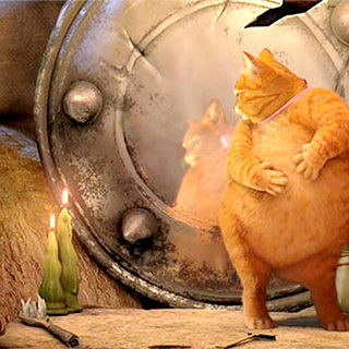 Shrek Forever After Picture 5
