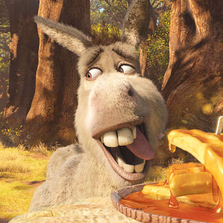 Shrek Forever After Picture 37