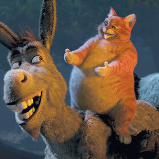 Shrek Forever After Picture 40