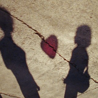 Sky to Soil (2026)