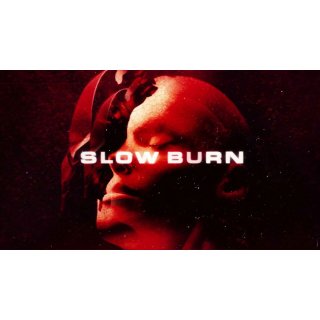 Slow Burn Picture 2