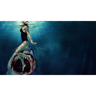Something In The Water Picture 6