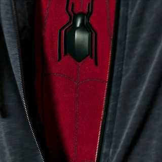 Spider-Man: Homecoming Picture 14