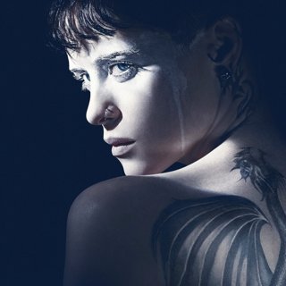 Girl In The Spider's Web, The Picture 1