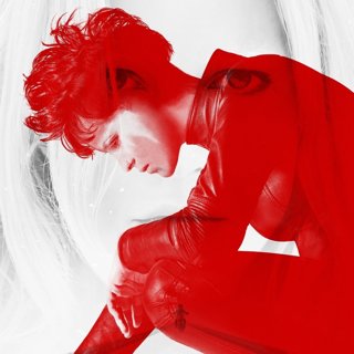 Girl In The Spider's Web, The Picture 7
