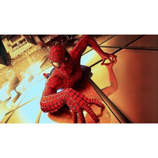 Spider-Man Picture 2