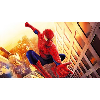 Spider-Man Picture 4