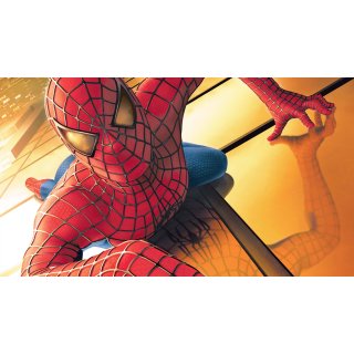 Spider-Man Picture 6