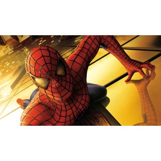Spider-Man Picture 8