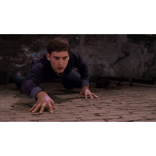 Spider-Man Picture 10