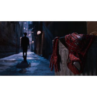 Spider-Man 2 Picture 10