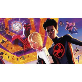 Spider-Man: Across The Spider-Verse Picture 8