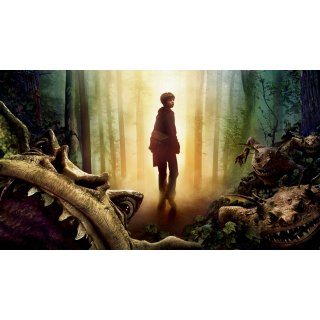Spiderwick Chronicles, The (2008)