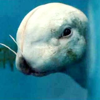 Splice Picture 27