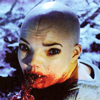 Splice Picture 29