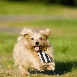 St. Trinian's Picture 33