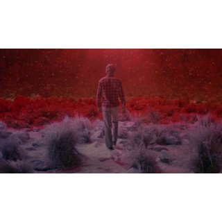 Starman Picture 9
