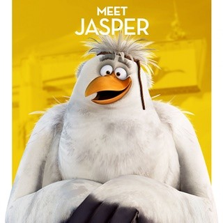 Storks Picture 8