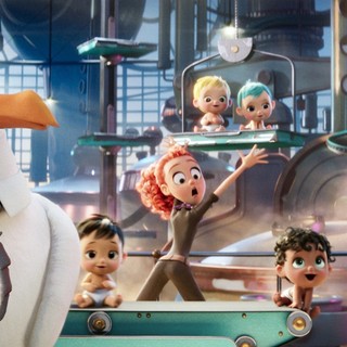 Storks Picture 3