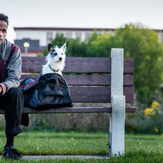 Stray, A Picture 2