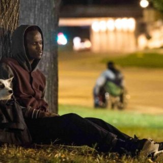 Stray, A Picture 4