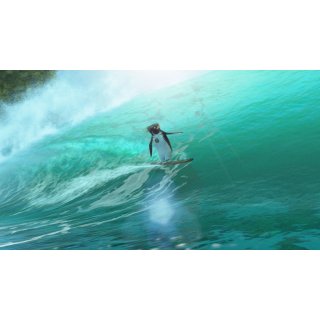 Surf's Up (2007)