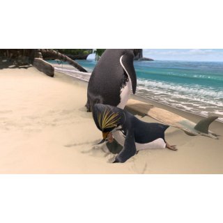 Surf's Up Picture 10