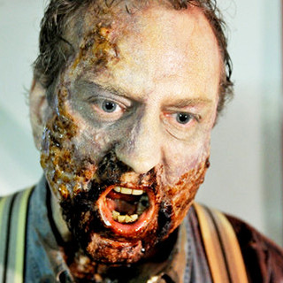 Survival Of The Dead Picture 2