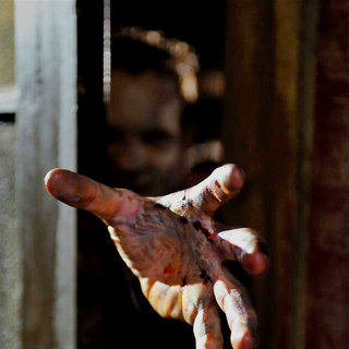 Survival Of The Dead Picture 12