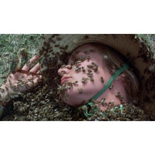 Swarm, The Picture 1