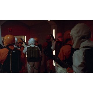 Swarm, The Picture 10