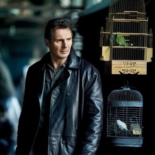 Taken 2 Picture 14