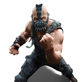 Dark Knight Rises, The Picture 48