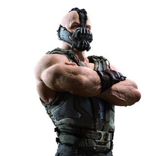 Dark Knight Rises, The Picture 49
