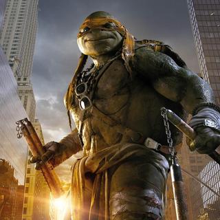 Teenage Mutant Ninja Turtles Picture 22