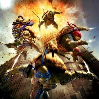 Teenage Mutant Ninja Turtles Picture 24