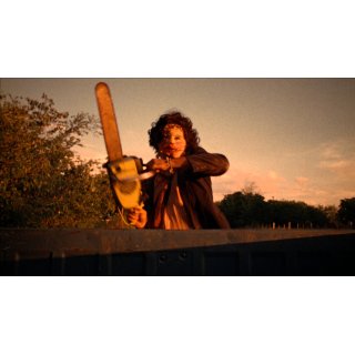 Texas Chain Saw Massacre, The Picture 3