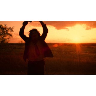 Texas Chain Saw Massacre, The Picture 4