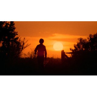 Texas Chain Saw Massacre, The Picture 9