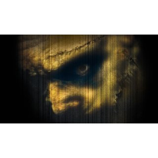 Texas Chainsaw Massacre, The Picture 3