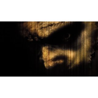 Texas Chainsaw Massacre, The Picture 5