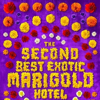 Second Best Exotic Marigold Hotel, The Picture 1