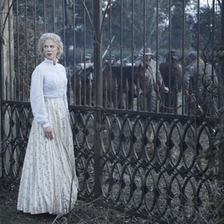 Beguiled, The Picture 12