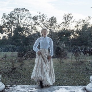 Beguiled, The Picture 5