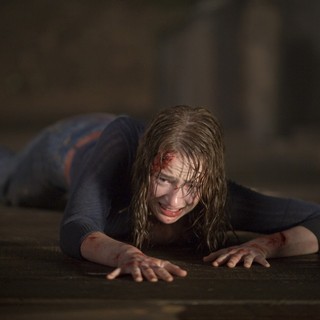 Cabin In The Woods, The Picture 22