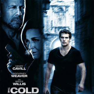 Cold Light Of Day, The Picture 11