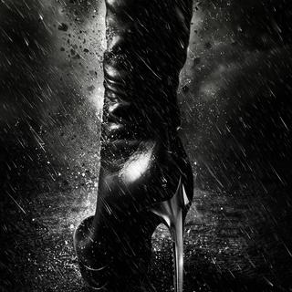 Dark Knight Rises, The Picture 65