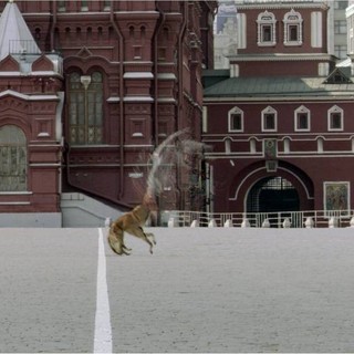 Darkest Hour, The Picture 24