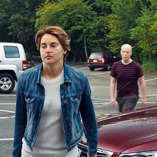 Fault In Our Stars, The Picture 13