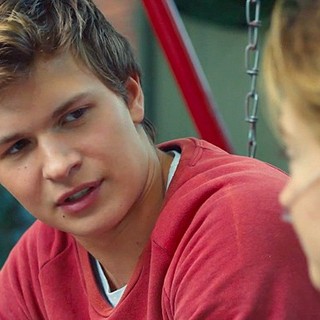 Fault In Our Stars, The Picture 17